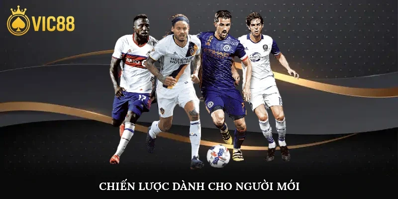 Chiến lược dành cho người mới