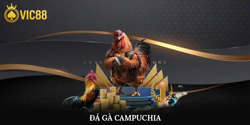 Đá Gà Campuchia