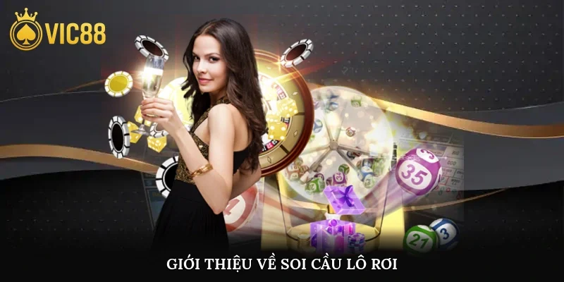 Giới thiệu về soi cầu lô rơi