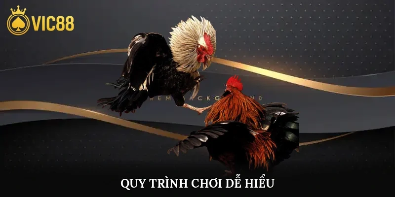 Quy trình chơi dễ hiểu