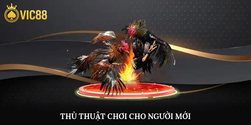 Thủ thuật chơi cho người mới