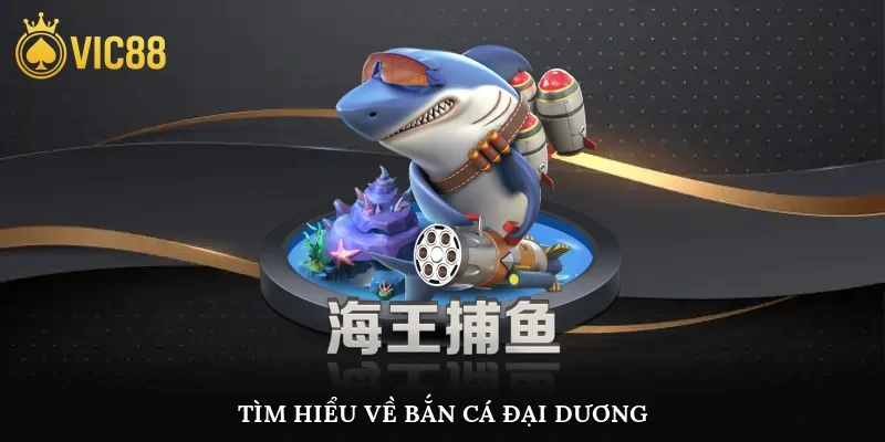 Tìm hiểu về bắn cá đại dương